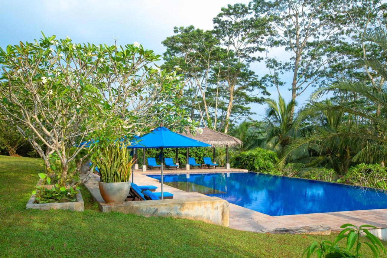 Niyagama House Hotell Galle Exteriör bild